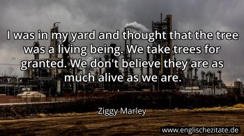 Englisches Zitat von Ziggy Marley als Bild