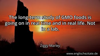 Englisches Zitat von Ziggy Marley als Bild